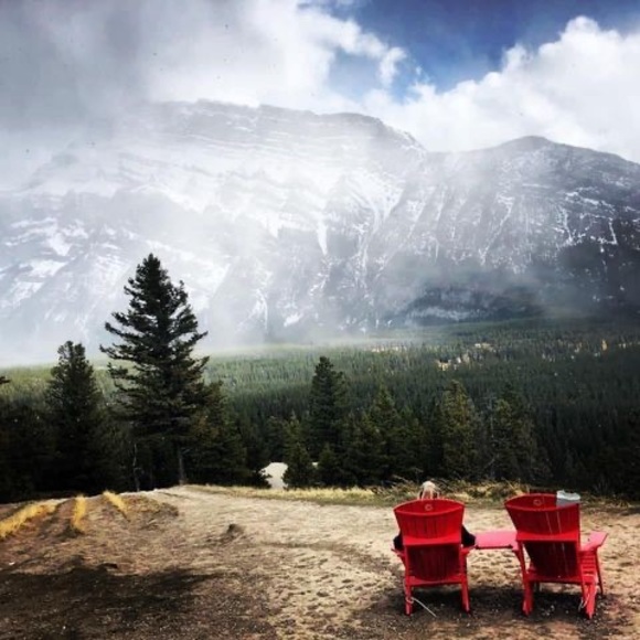 Meet your Posher, Tara - Picture 1 of 1